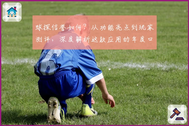 球探信誉如何？从功能亮点到玩家测评，深度解析这款应用的年度口碑