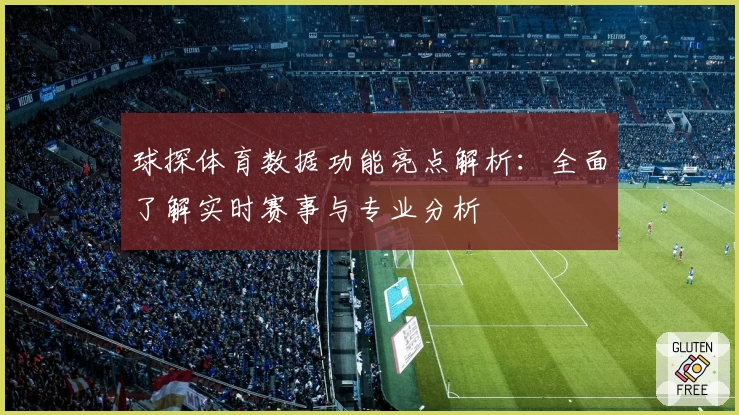 球探体育数据功能亮点解析：全面了解实时赛事与专业分析