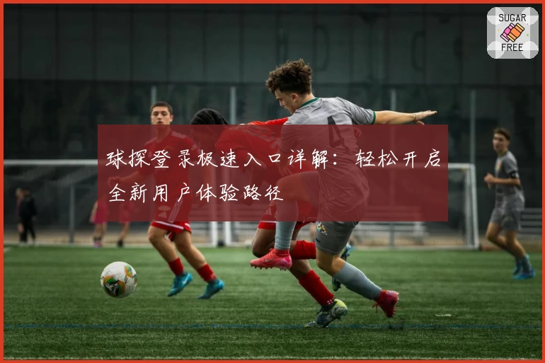 球探登录极速入口详解：轻松开启全新用户体验路径